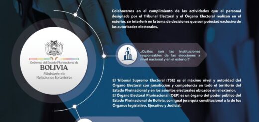 Tribunal Supremo Electoral.